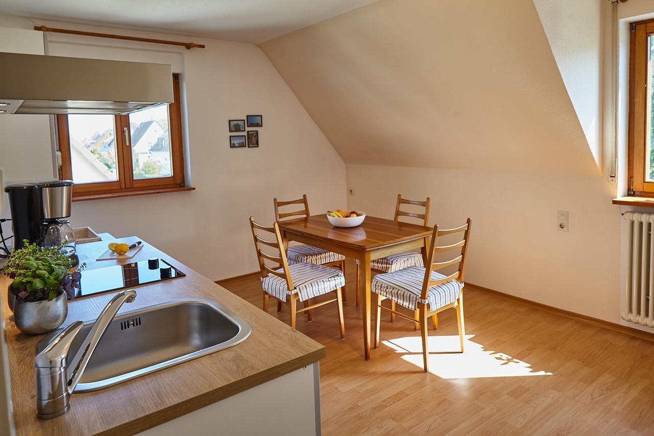 Bodensee Apartment Friedrichshafen Seenah 외부 사진